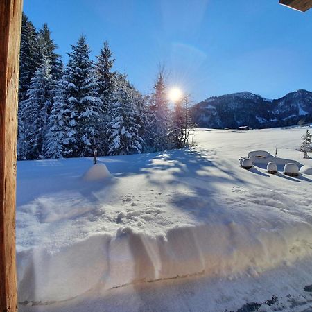 Zeitfrei Chalet Apartments Файбербрун Екстериор снимка